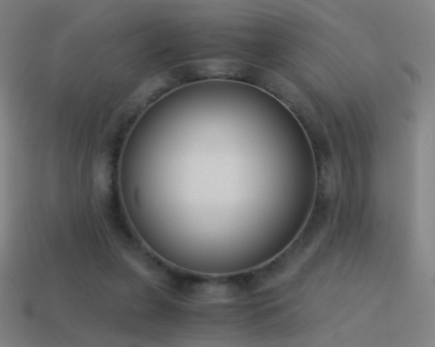 X0000114410255200910161213
