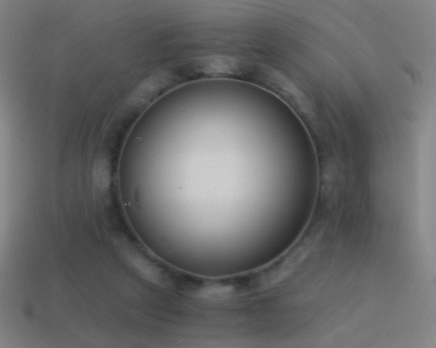 X0000114410257200910161213