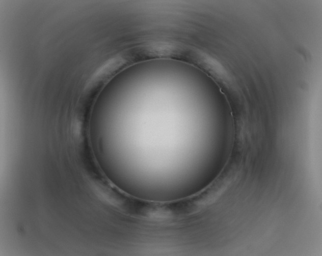 X0000114410258200910161213