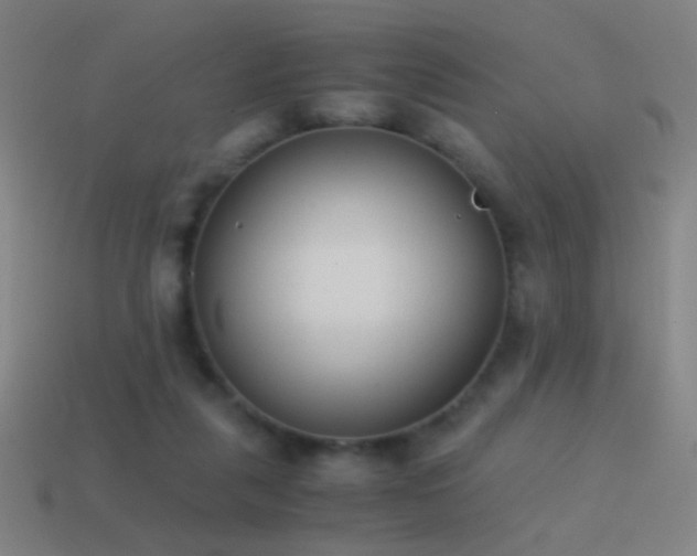 X0000114410259200910161213