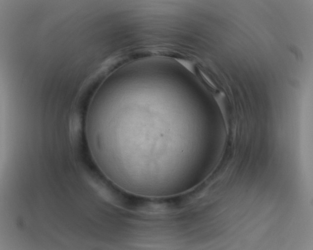 X0000114410260200910161213
