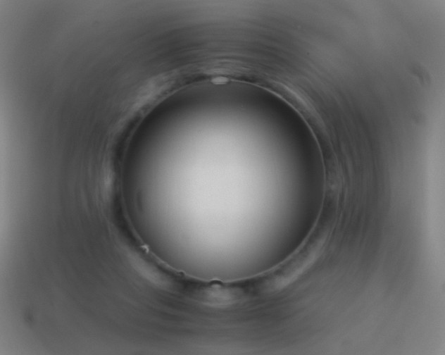 X0000114410261200910161213