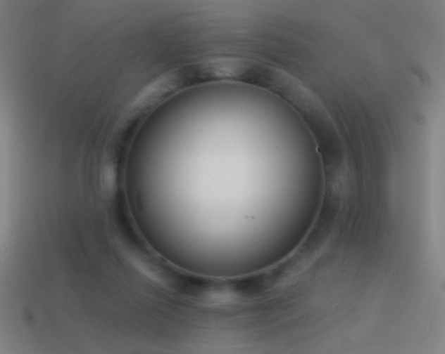 X0000114410262200910161213