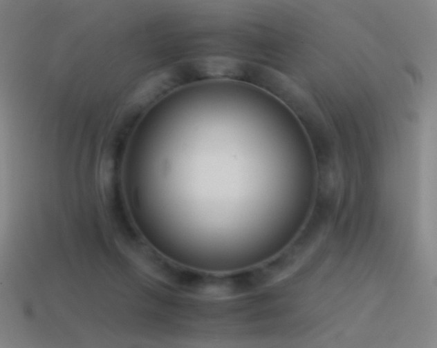 X0000114410263200910161213