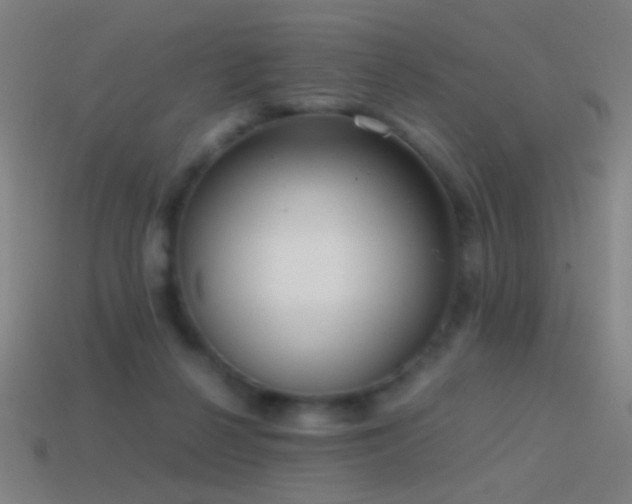 X0000114410264200910161213