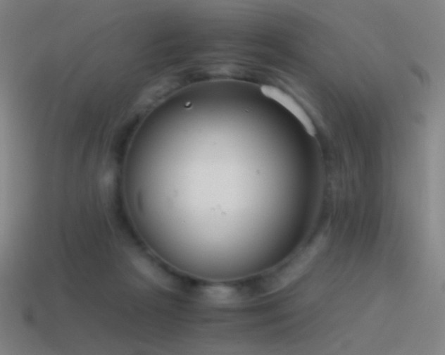 X0000114410265200910161213