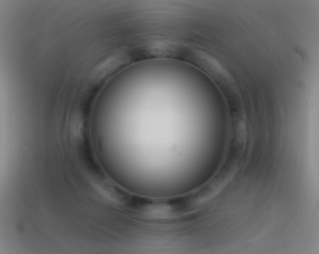 X0000114410266200910161213