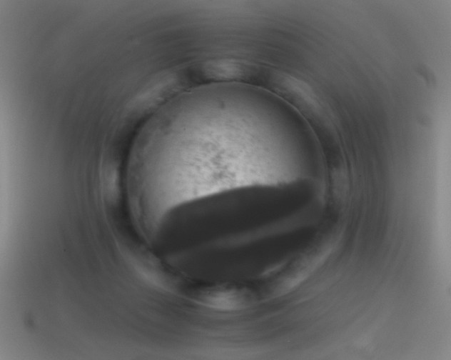 X0000114410267200910161213