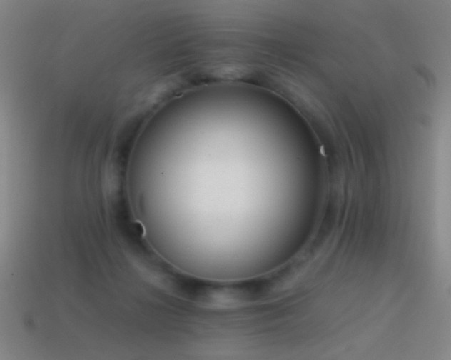 X0000114410268200910161213