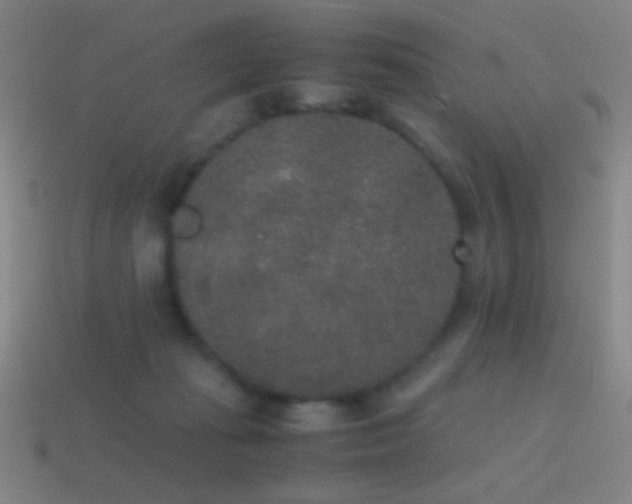 X0000114410269200910161213