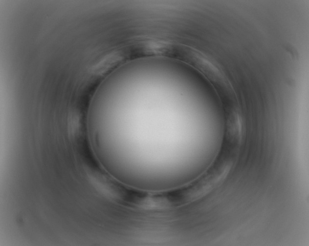 X0000114410270200910161213