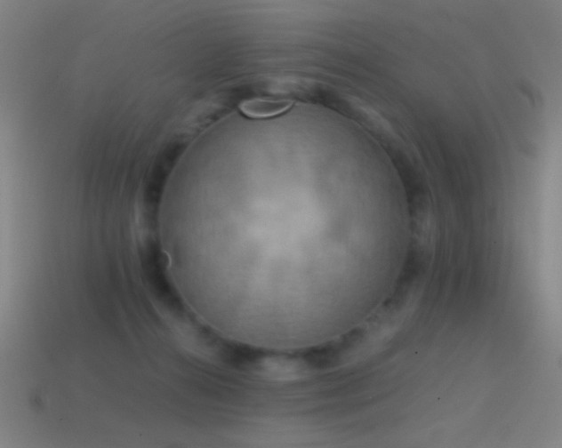 X0000114410272200910161213