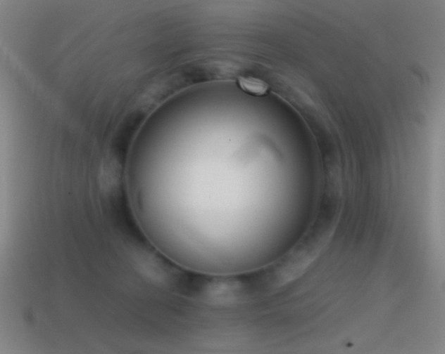 X0000114410274200910161213