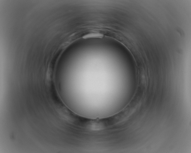 X0000114410275200910161213