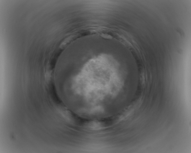 X0000114410276200910161213