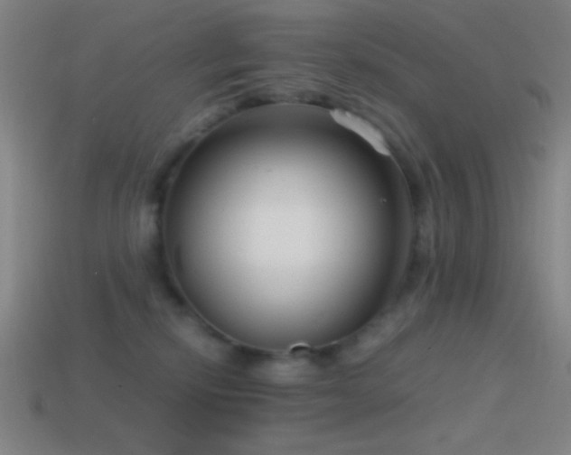 X0000114410278200910161213