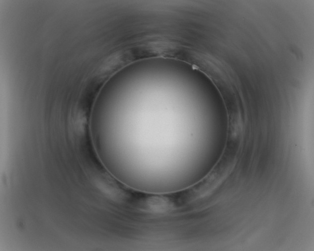 X0000114410279200910161213