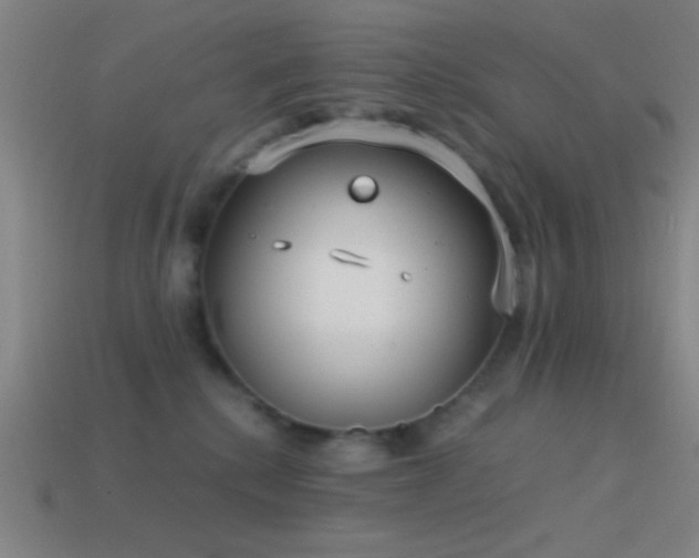 X0000114410280200910161213