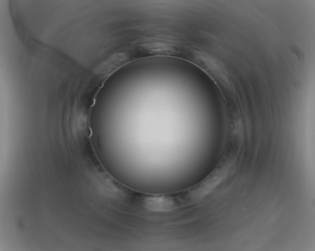 X0000114410281200910161213