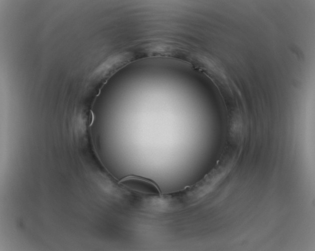 X0000114410282200910161213
