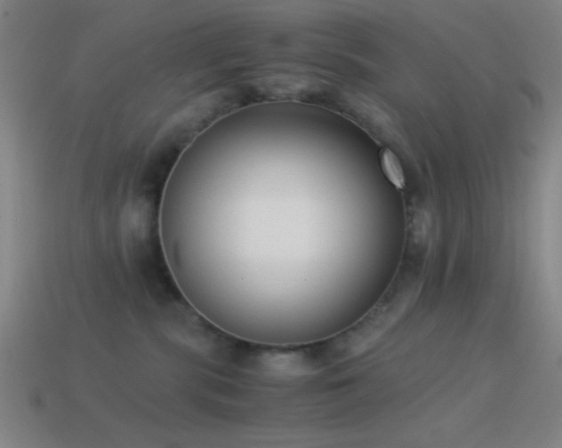 X0000114410283200910161213