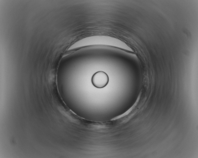 X0000114410284200910161213