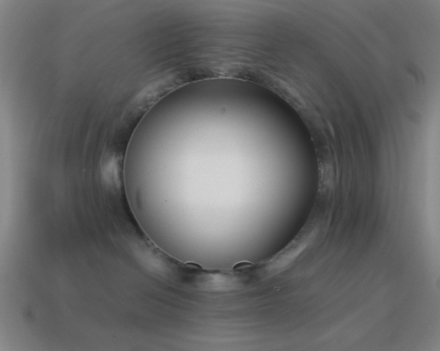 X0000114410286200910161213