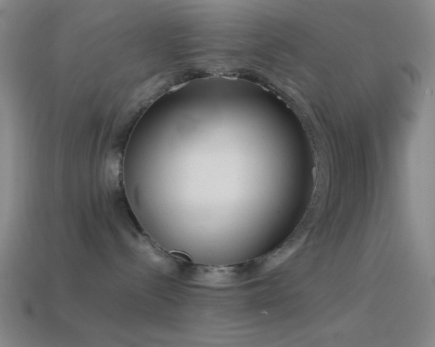 X0000114410288200910161213