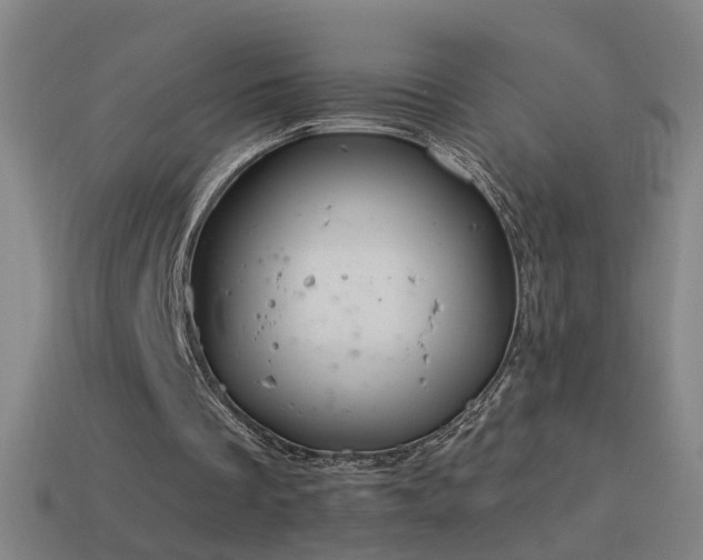 X0000114410289200910161212