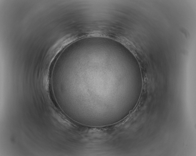 X0000114410290200910161212