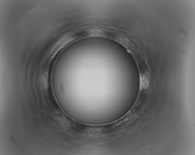 X0000114410291200910161212