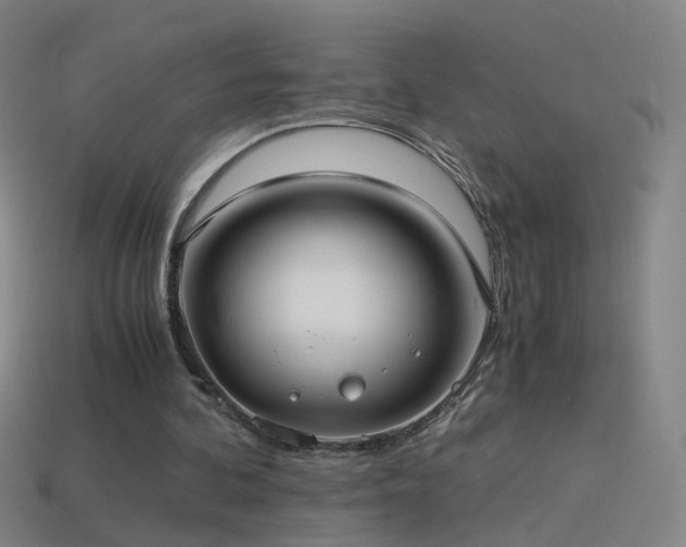 X0000114410292200910161212