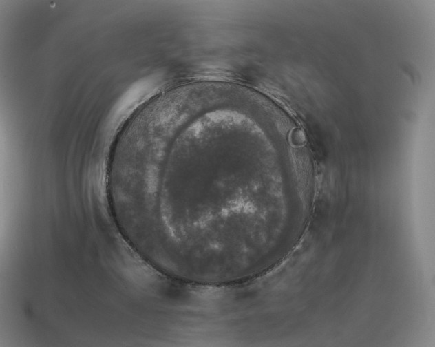 X0000114410293200910161212