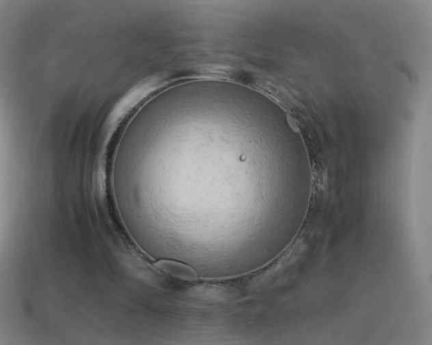X0000114410294200910161212