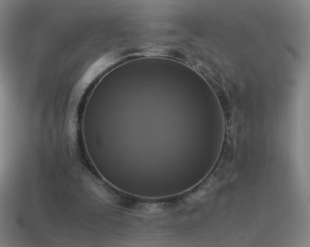 X0000114410295200910161212