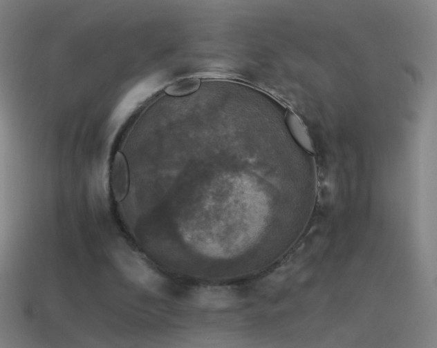 X0000114410296200910161212