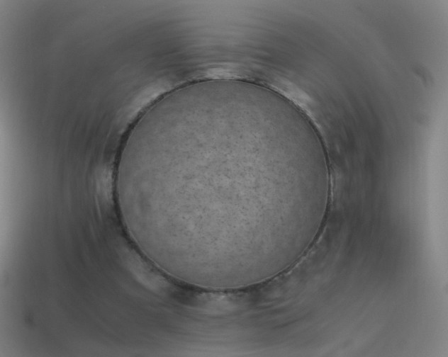 X0000114410297200910161212