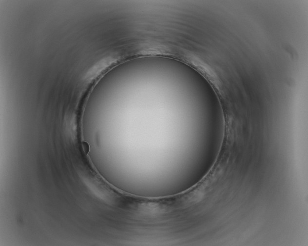 X0000114410298200910161212