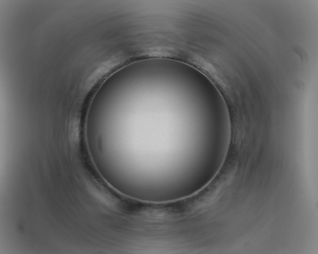 X0000114410299200910161212
