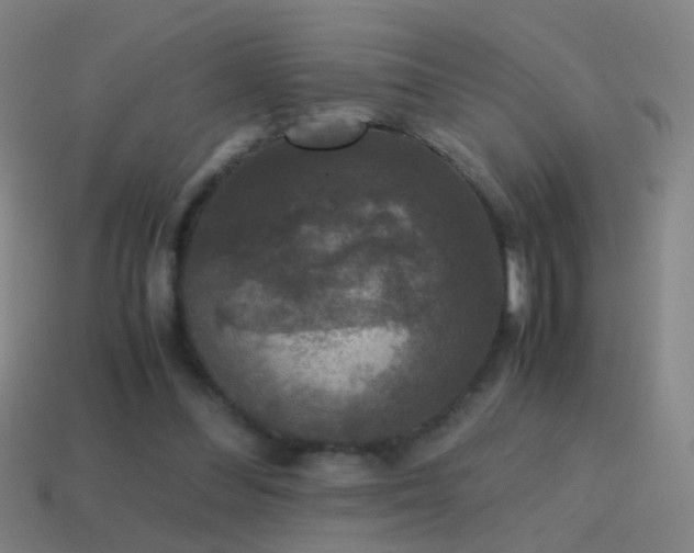 X0000114410300200910161212