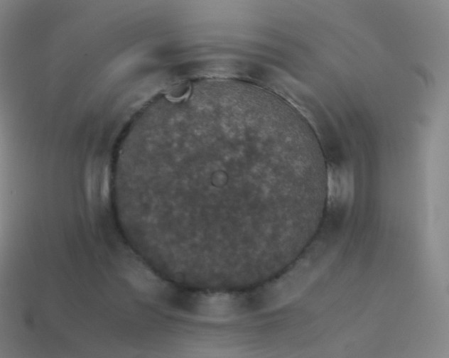 X0000114410301200910161212