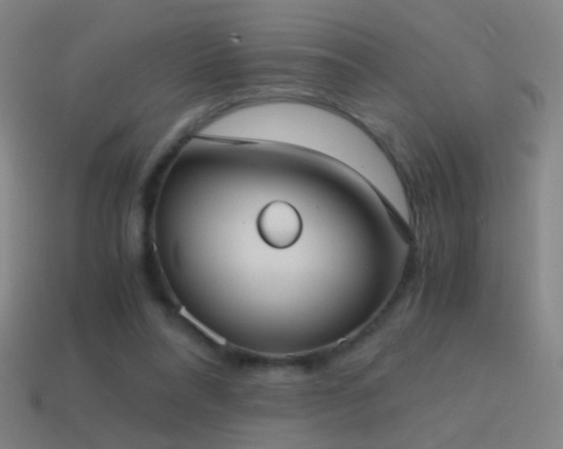 X0000114410304200910161212