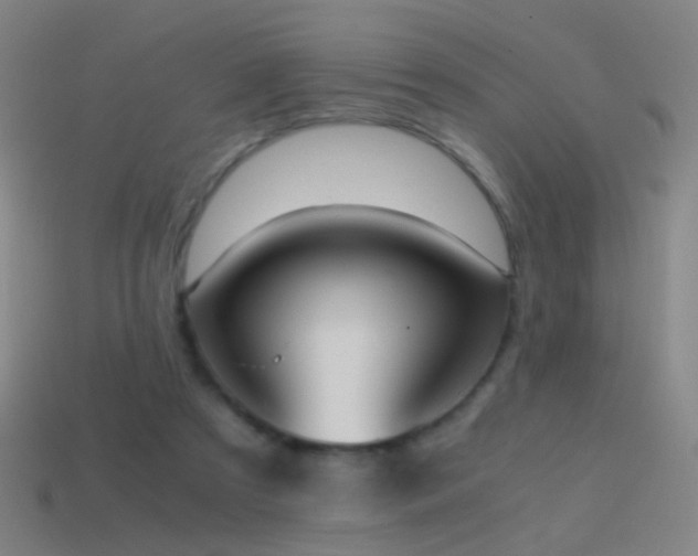 X0000114410305200910161212