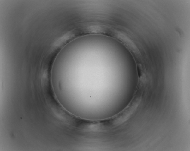 X0000114410306200910161212