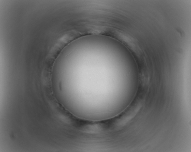 X0000114410307200910161212