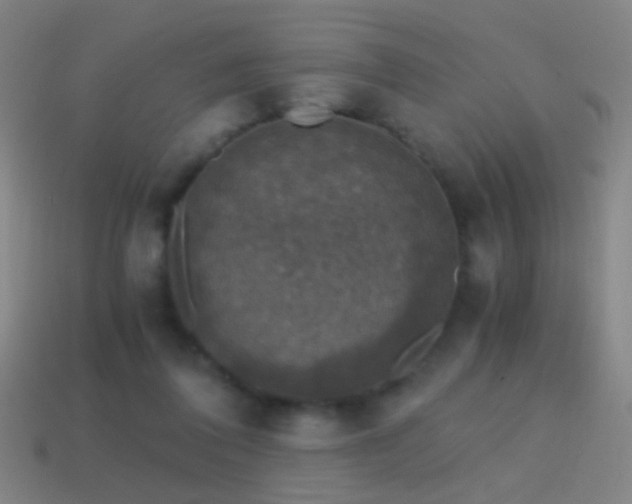 X0000114410308200910161212