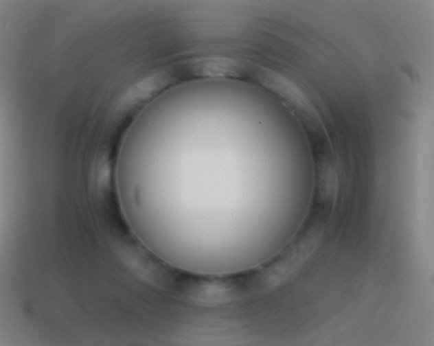 X0000114410310200910161212
