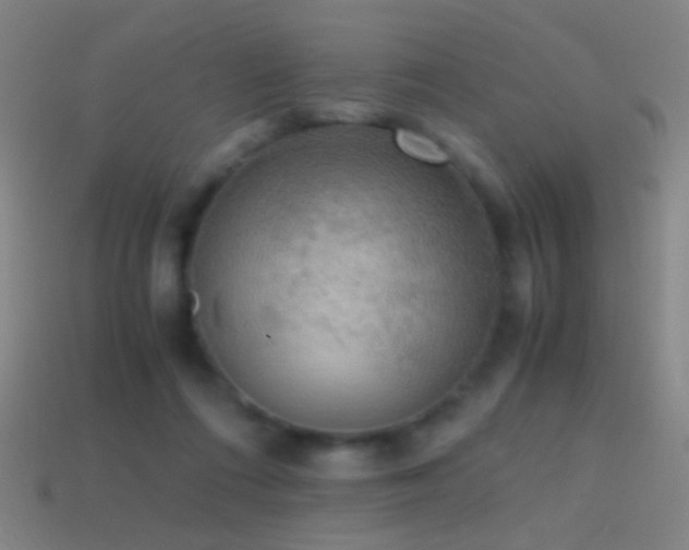 X0000114410312200910161212