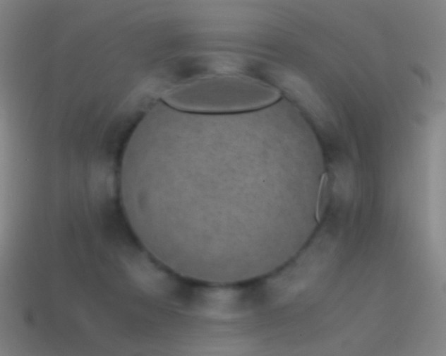 X0000114410313200910161212