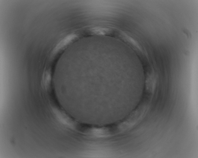 X0000114410314200910161212